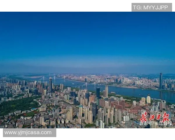 武汉羽毛球队实力飙升创造历史新高引发全国关注